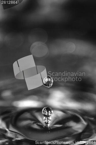 Image of Water drops rebound