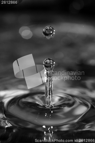 Image of Water droplets rebounding