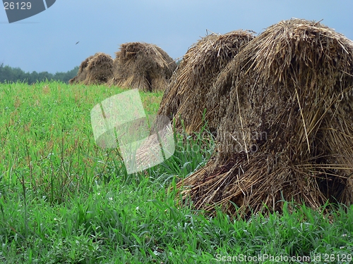 Image of Haystacks 5