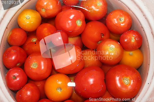 Image of red tomato very ripe and tasty