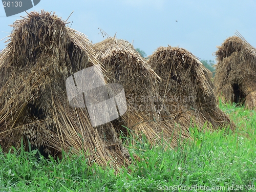 Image of Haystacks 6