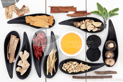 Image of Chinese Medicine