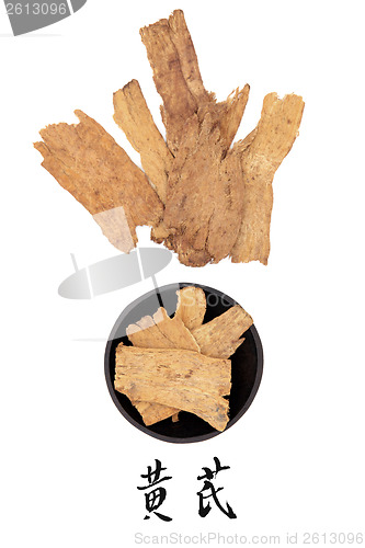 Image of Astragalus Root