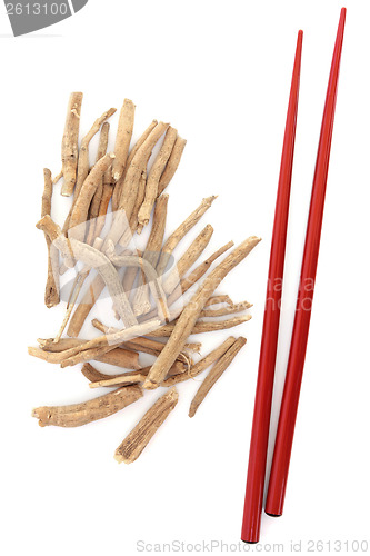 Image of Ginseng 