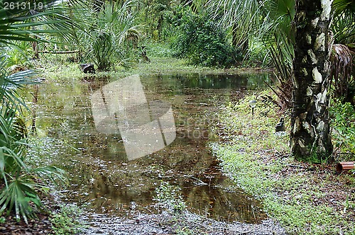 Image of flooded wetlands in south florida