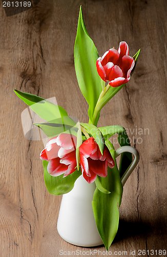 Image of Red Tulips
