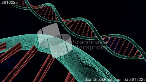 Image of chain of deoxyribonucleic acid 