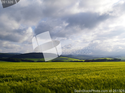 Image of agrarian landscape