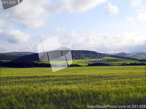 Image of agrarian landscape