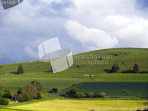 Image of agrarian landscape