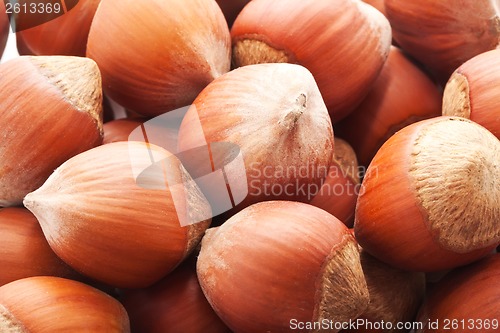 Image of Hazelnuts or filbert