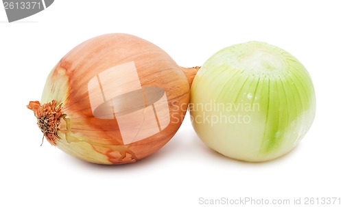 Image of Onion