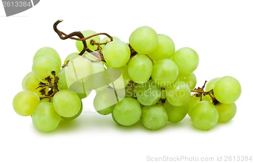 Image of Grapes