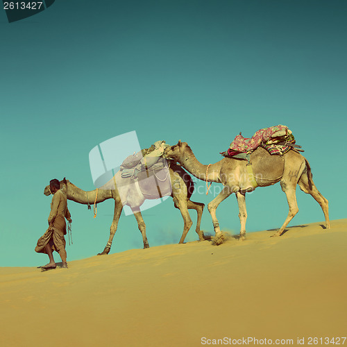 Image of camels in desert - vintage retro style