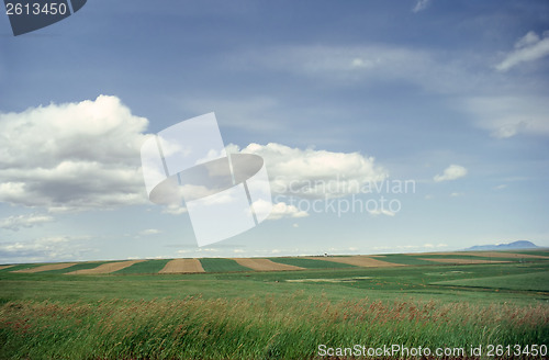 Image of Fields in Montana