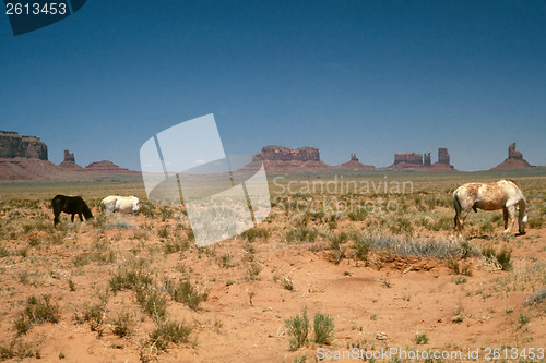 Image of Horses in Monument Valley