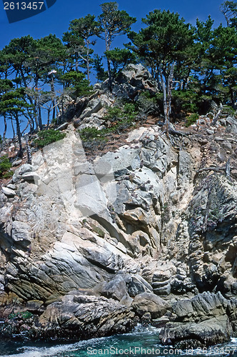 Image of Point Lobos, California