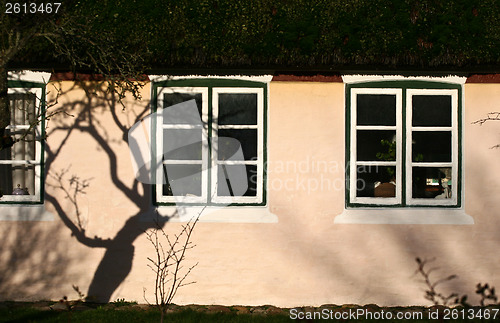 Image of Window detail and tree shade on a wall of a house Island of Fano