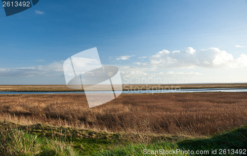 Image of Landscape over the reeds. Island of Fanoe in Denmark