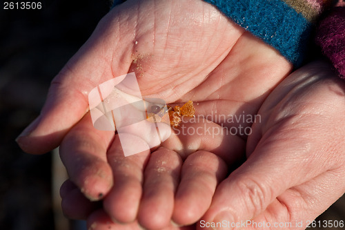 Image of Very small pieces of  amber at the beach of the Island of Fanoe 