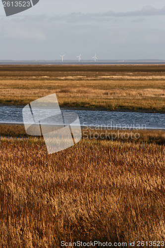 Image of Landscape from Island of Fanoe in Denmark