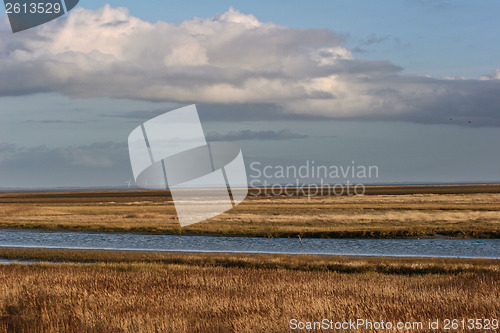 Image of Landscape from Island of Fanoe in Denmark