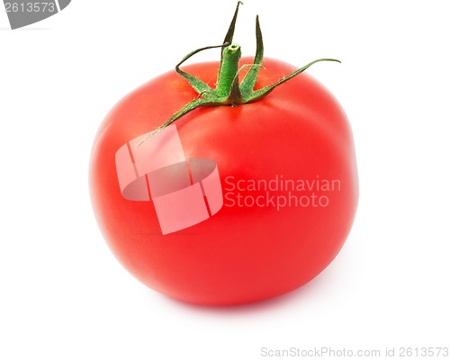 Image of Tomato