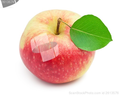 Image of Apple