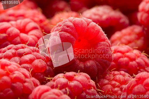 Image of Raspberries