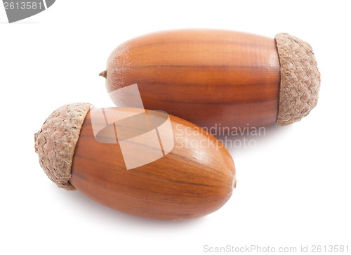 Image of Acorn