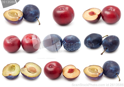 Image of Plum