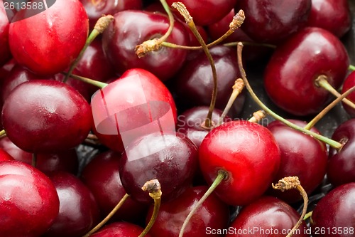 Image of Red cherry