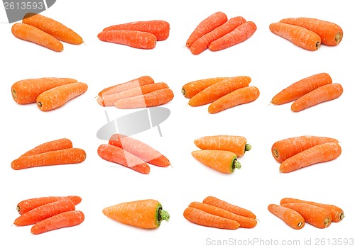 Image of Carrot
