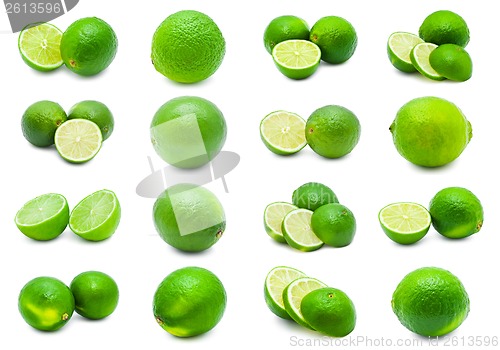 Image of Lime