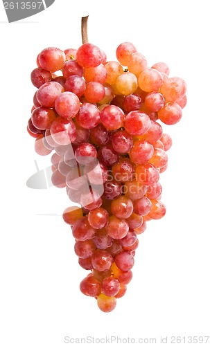 Image of Grapes