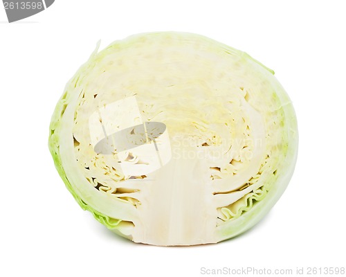 Image of Cabbage