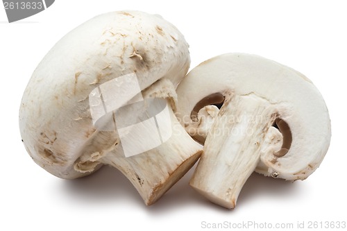 Image of Champignon mushrooms