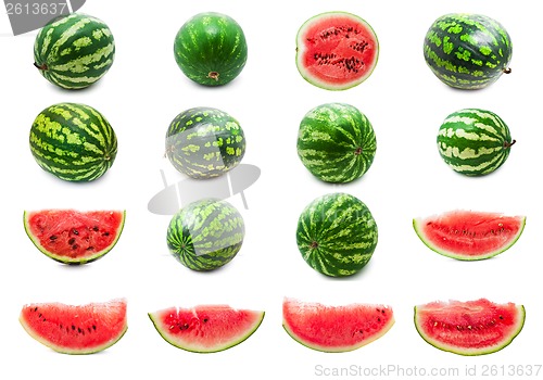 Image of Watermelon