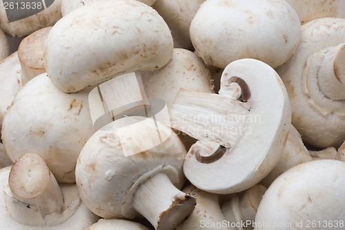 Image of Champignon mushrooms