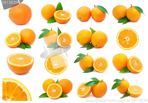Image of Oranges