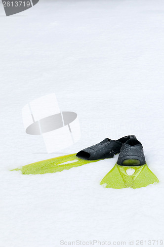 Image of Flippers lying on the snow, conceptual photo