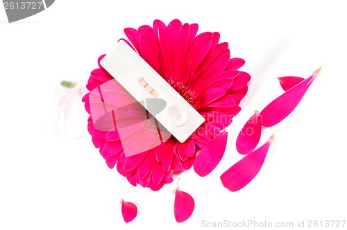 Image of Positive pregnancy test and pink gerbera