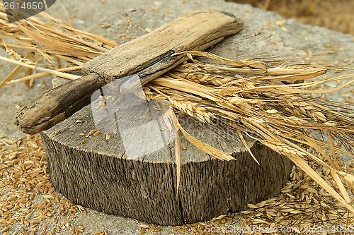 Image of Wheat peeling