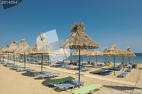 Image of Vai palm beach