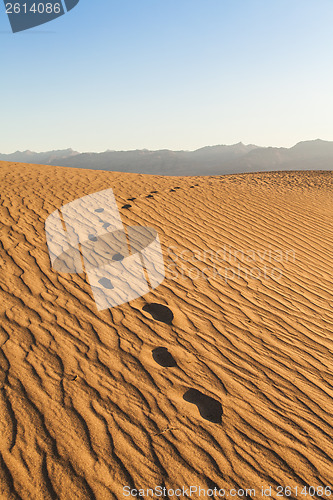 Image of Death Valley Desert