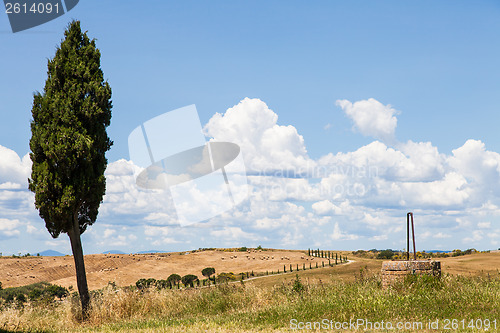 Image of Tuscan country