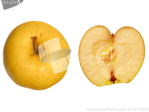 Image of Apple isolated