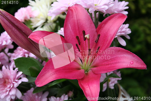 Image of Bouquet of flowers