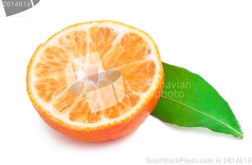 Image of Tangerines