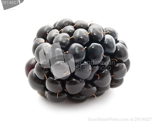 Image of Blackberry